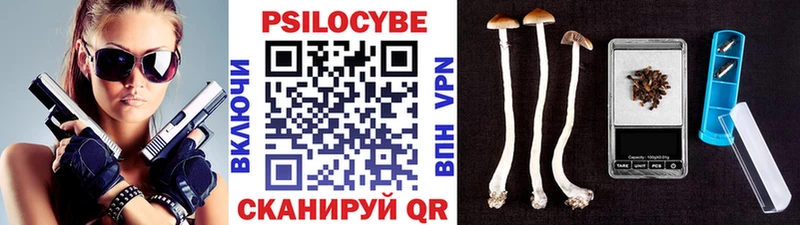 купить закладку  Кропоткин  Галлюциногенные грибы Cubensis 